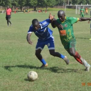 950c4cf3-4a87-4412-be6a-7a760afd5afd